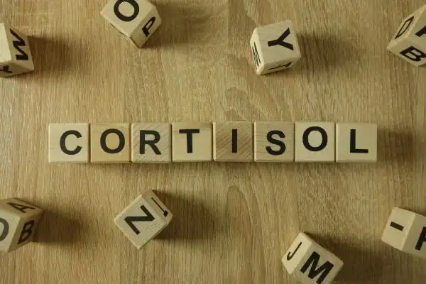 The Hidden Connection: How Stress Shapes Your Fitness and Body Composition 2 Image saying "Cortisol" and how stress Romford impacts your wellbeing and bodies shape